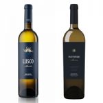 Lusco 2016 y Pazo Piñeiro 2015, dos albariños genuinos de elaboración limitada Lusco 2016 y Pazo Piñeiro 2015, dos albariños genuinos de elaboración limitada