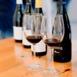 Los vinos de MGWines en El Bierzo y Almansa, Tilenus y Ternario Los vinos de MGWines en El Bierzo y Almansa, Tilenus y Ternario