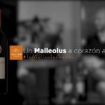 Malleolus, una de las referencias estrella de Bodegas Emilio Moro, cumple 20 años Malleolus, una de las referencias estrella de Bodegas Emilio Moro, cumple 20 años
