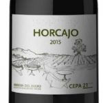 Cepa 21 lanza Horcajo 2015, la segunda añada de uno de los mejores tintos de Ribera del Duero Cepa 21 lanza Horcajo 2015, la segunda añada de uno de los mejores tintos de Ribera del Duero
