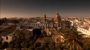 Tecnovino-video-las-catedrales-del-vino