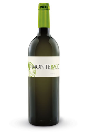 Tecnovino-Montebaco-verdejo