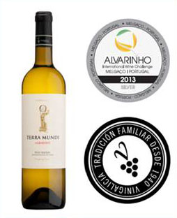 Tecnovino-Terramundi-Vinigalicia