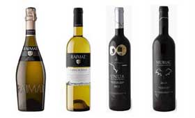 Tecnovino vinos DO Costers del Segre premiados Cinve