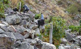 Tecnovino DO Ribeira Sacra vendimia 2013