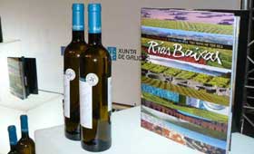 Tecnovino DO Rias Baixas libro el vino del mar