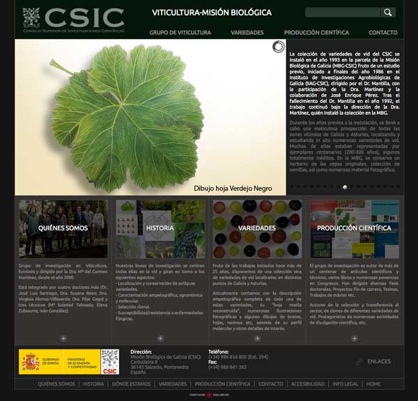 Tecnovino coleccion de variedades de vid CSIC web