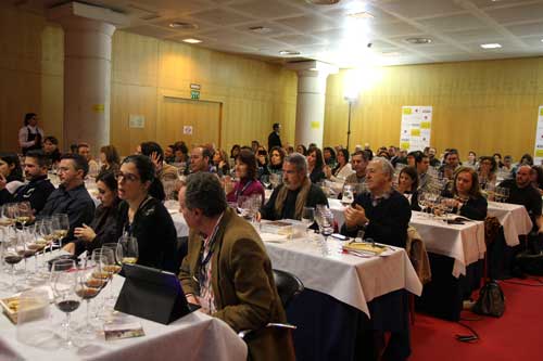 Tecnovino Enofusion 2014 cata Jerez