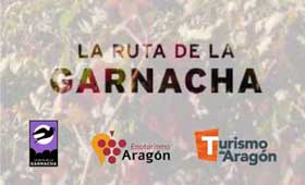 Tecnovino GarnachAPP La Ruta de la Garnacha