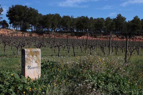 Tecnovino-Recaredo Renaissence des Appellations