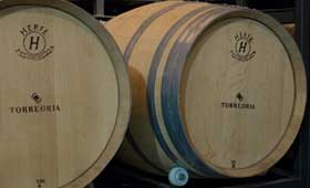 Tecnovino TorreOria Vintes crecimiento 2013