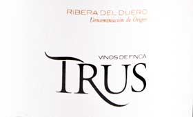 Tecnovino Trus Reserva 2006 Bodegas Trus