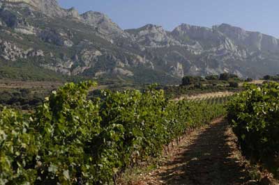 Tecnovino vino San Valentin Ruta del Vino de Rioja Alavesa Quintas