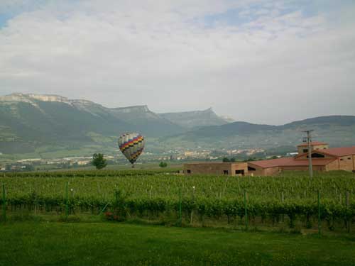 Tecnovino rutas enoturisticas Ruta del Txakoli