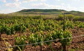 Tecnovino Ribera del Duero 2013 Valtoniar