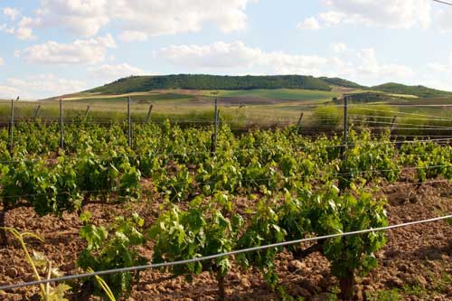 Tecnovino Ribera del Duero 2013 Valtoniar