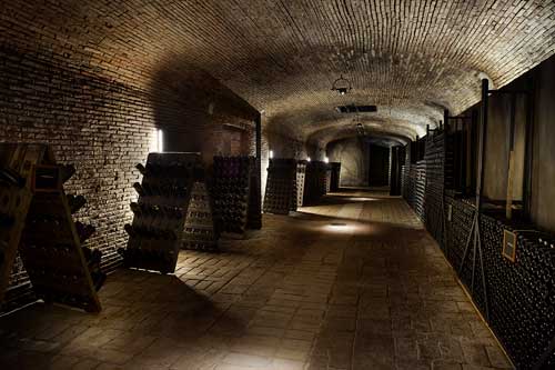 Tecnovino Celler Jaume Codorniu 2