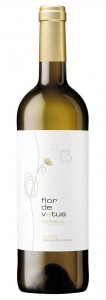 Tecnovino Flor de Vetus 2013 Bodegas Vetus