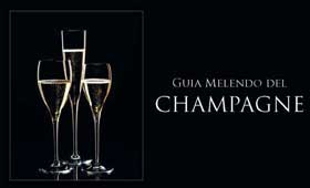Tecnovino Guia Melendo del Champagne