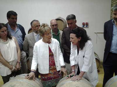 Tecnovino Centro IFAPA en Jerez viticultura