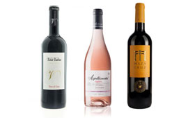 Tecnovino Nuevo Vino 2014 Grandes Oro