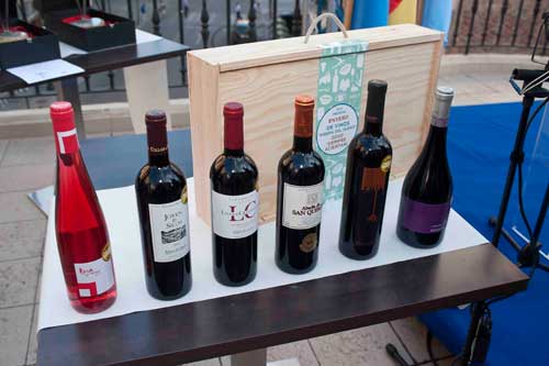 Tecnovino Premios Envero vinos premiados