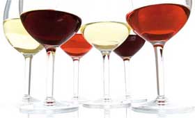 Tecnovino dominios Vin y Wine
