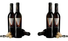 Tecnovino VDulce de Invierno Javier Sanz Viticultor