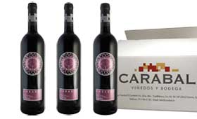 Tecnovino Cavea 2008 Bodega Carabal