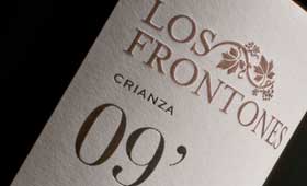 Tecnovino Los Frontones 2009 Bodegas Excelencia