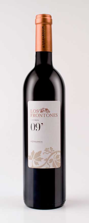 Tecnovino Los Frontones 2009 Bodegas Excelencia