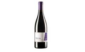 Tecnovino Bierzo vinos Mencia