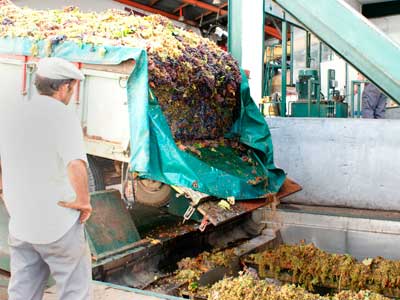 Tecnovino Coag bodegas incumplimiento plazos pago