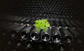 Tecnovino normas de comercializacion del vino