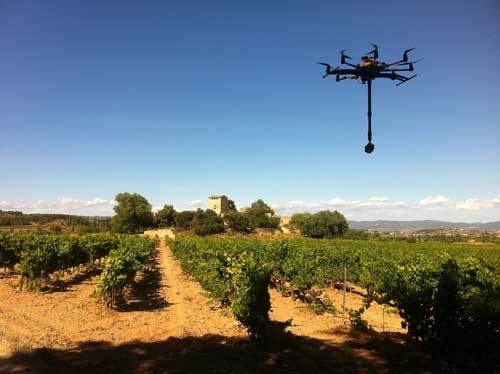 Tecnovino experiencia de Bodegas Torres