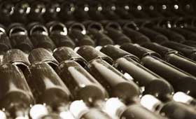 Tecnovino productor mundial de vino