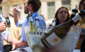 Tecnovino Torres Experience Bodegas Torres