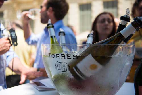 Tecnovino Torres Experience Bodegas Torres