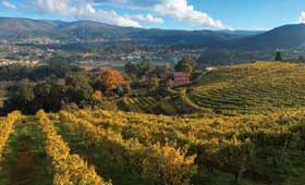 Tecnovino denominaciones de origen Rias Baixas