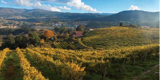 Tecnovino denominaciones de origen Rias Baixas