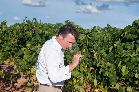 Tecnovino Ruta del Vino de Rueda Munoz Romero