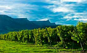 Tecnovino Rutas Txakoli y Emporda Magrama