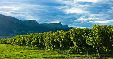 Tecnovino Rutas Txakoli y Emporda Magrama 3