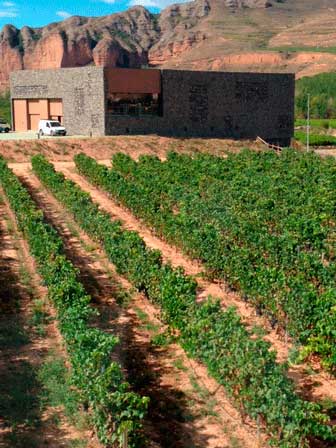 Tecnovino Bodegas Proelio