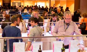 Tecnovino Enofusion y Madrid Fusion