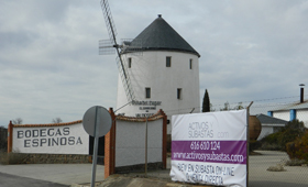 tecnovino bodega Valdepeñas subasta