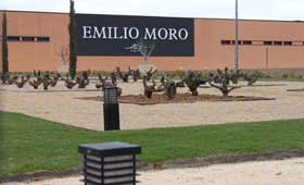 Tecnovino Bodegas Emilio Moro inversion