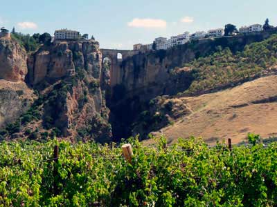 Tecnovino Rutas del Vino Acevin asamblea Ronda