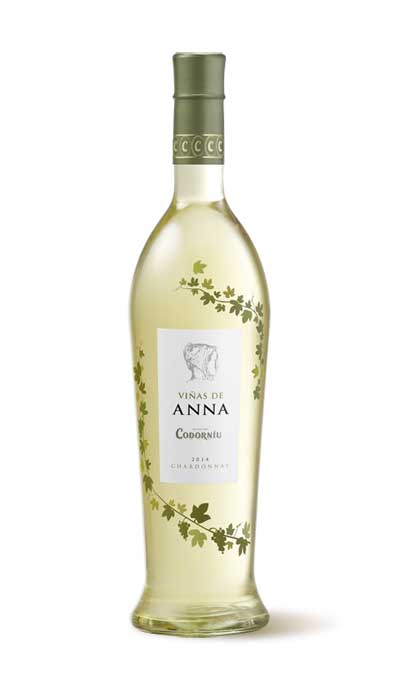 Tecnovino Vinas de Anna Codorniu