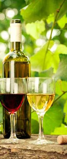 Tecnovino vino exportaciones diciembre 2014